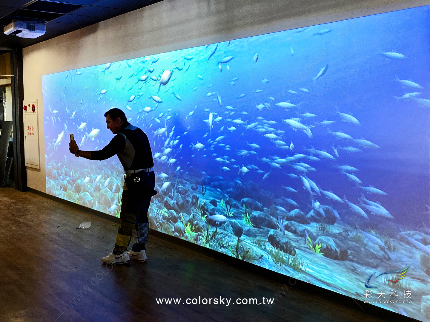 虱目魚主題牆-動態3D虱目魚影片播放-實際投影效果