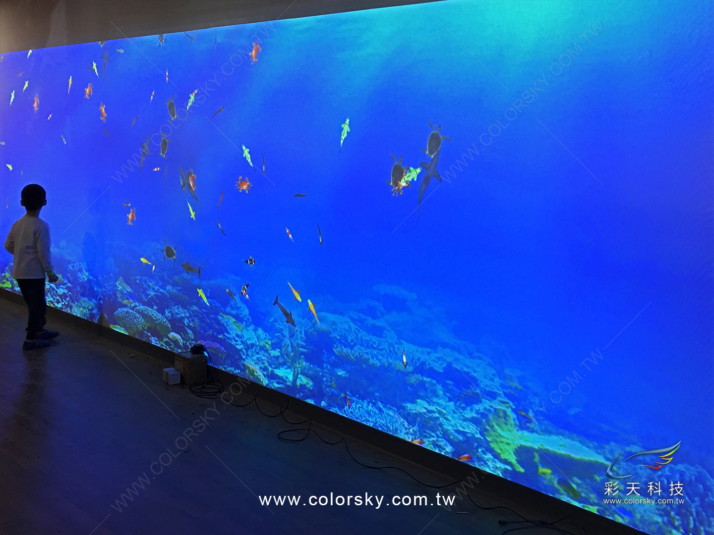 虱目魚主題牆-寬景影片播放-實際投影效果